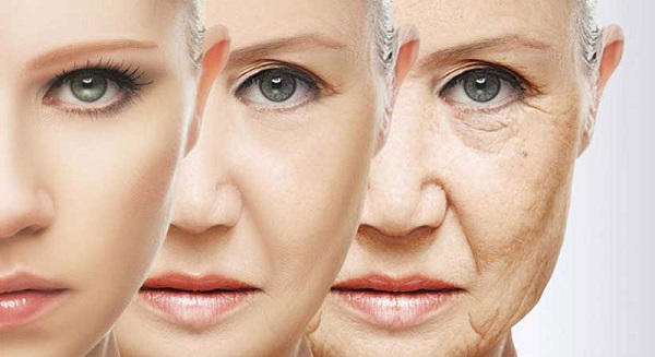 Dermal fillers